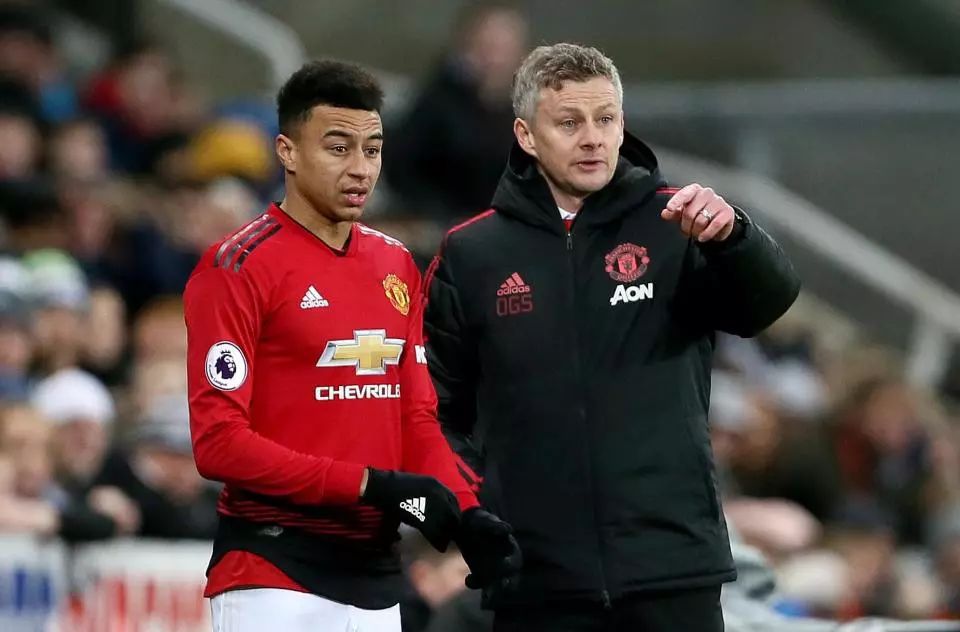 造新的后场 造新的后场